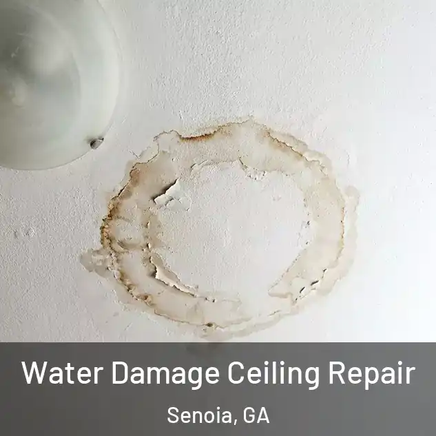  Water Damage Ceiling Repair Senoia, GA