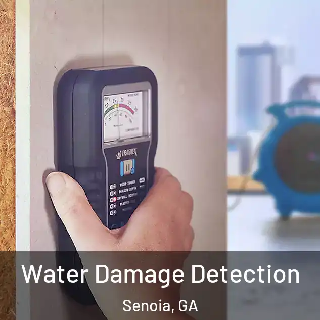  Water Damage Detection Senoia, GA