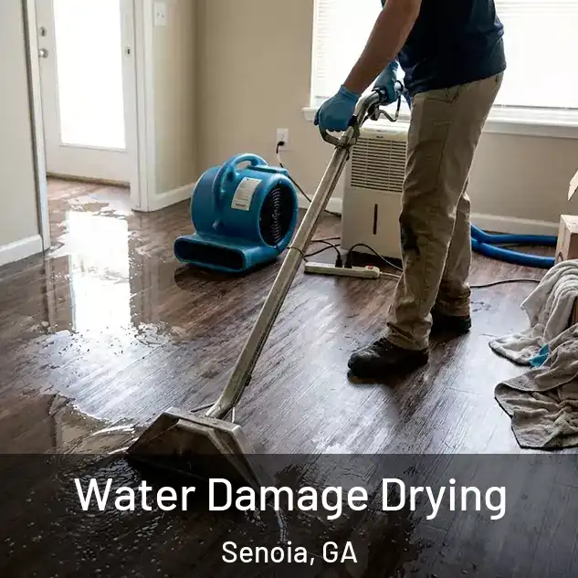  Water Damage Drying Senoia, GA