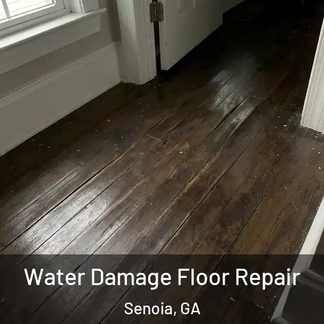  Water Damage Floor Repair Senoia, GA