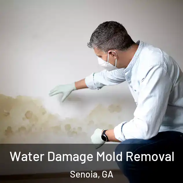  Water Damage Mold Removal Senoia, GA