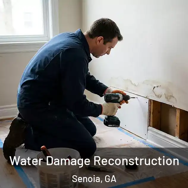  Water Damage Reconstruction Senoia, GA