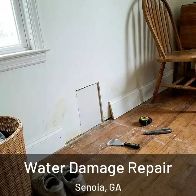  Water Damage Repair Senoia, GA