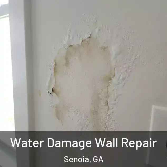  Water Damage Wall Repair Senoia, GA