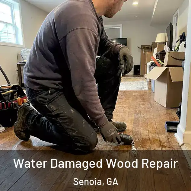  Water Damaged Wood Repair Senoia, GA