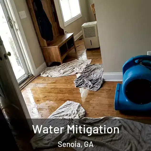  Water Mitigation Senoia, GA
