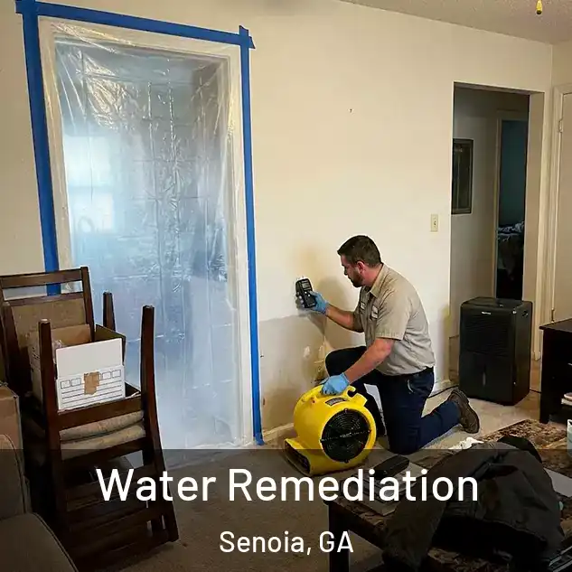  Water Remediation Senoia, GA