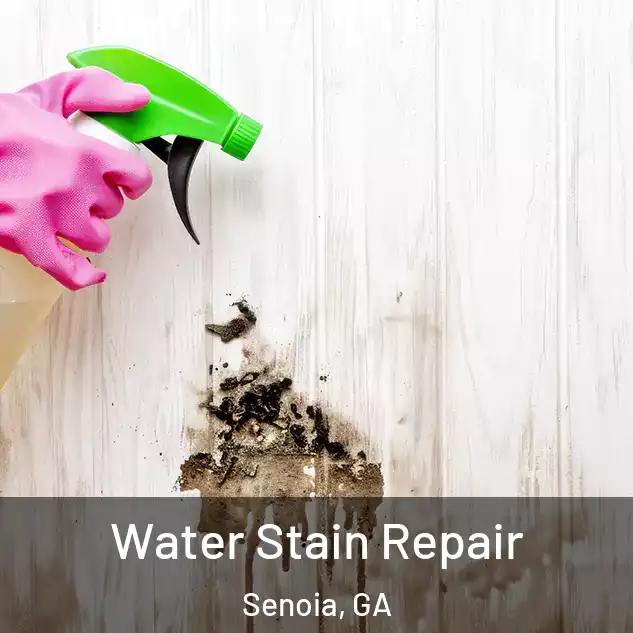  Water Stain Repair Senoia, GA