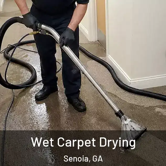  Wet Carpet Drying Senoia, GA