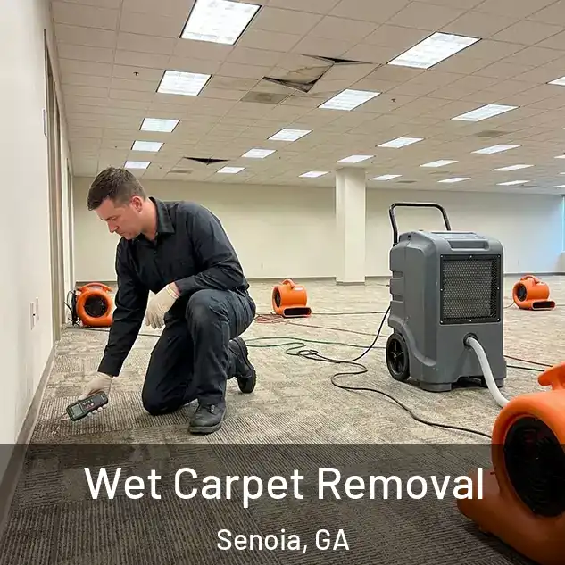  Wet Carpet Removal Senoia, GA